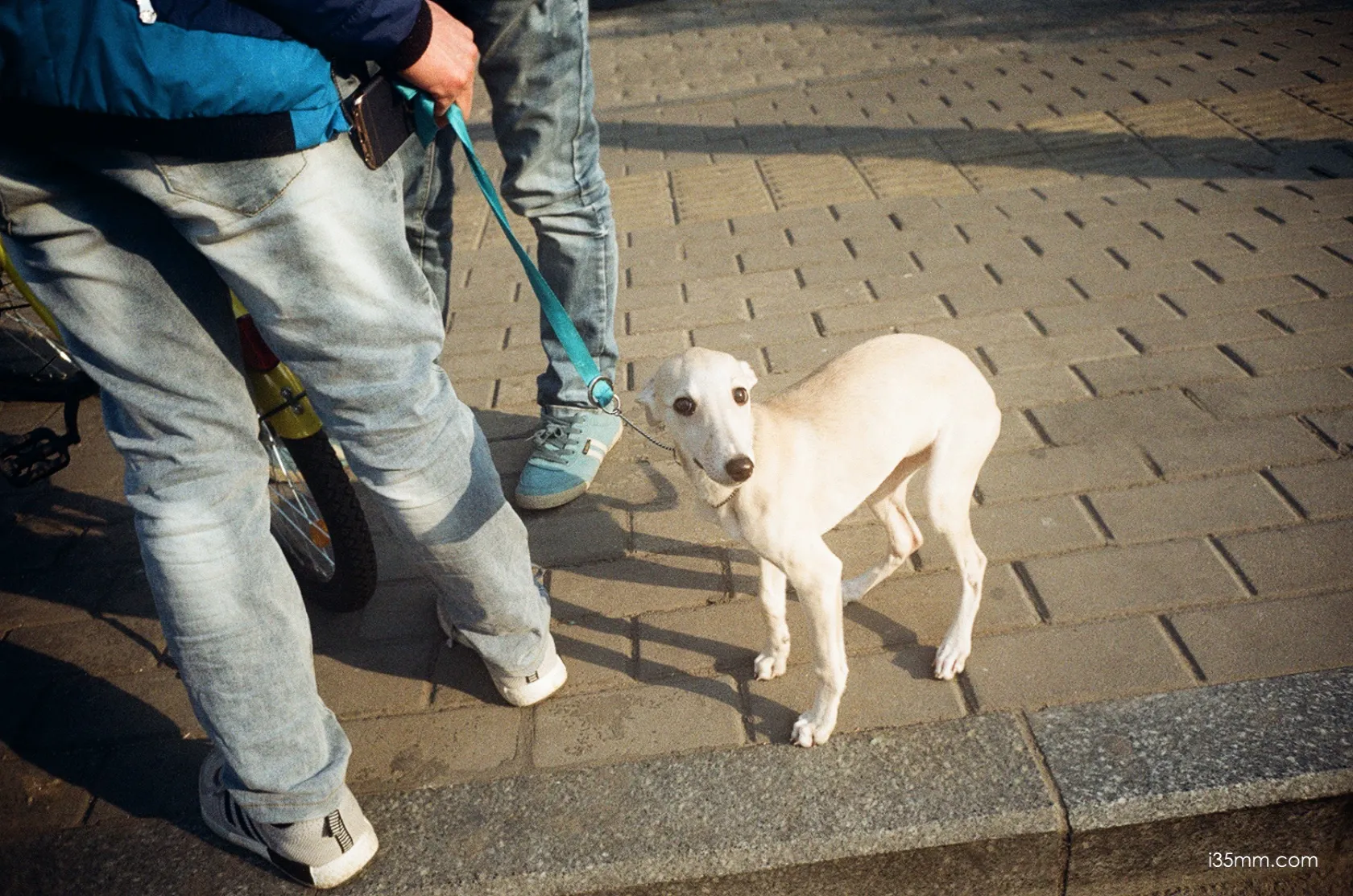 Leica Hektor 28mm f/6.3 Review