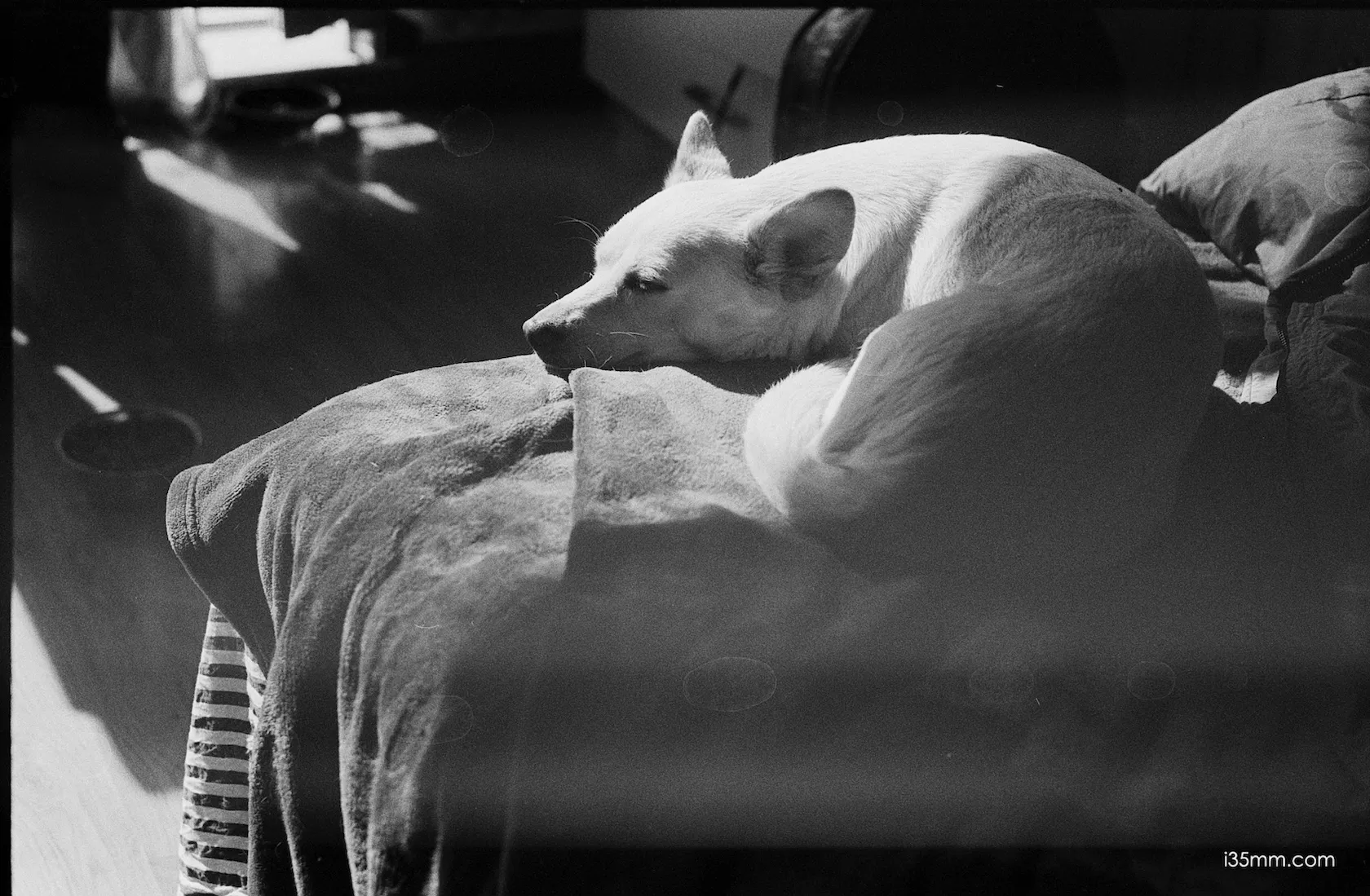 Leica Summilux50mm 1.4 v1 e43